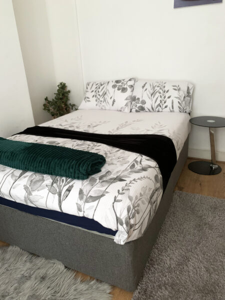 Entire Apartment
